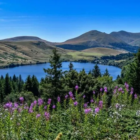 דירה Rose, 4 Pers. Saint Antoine, Orcival, Sancy