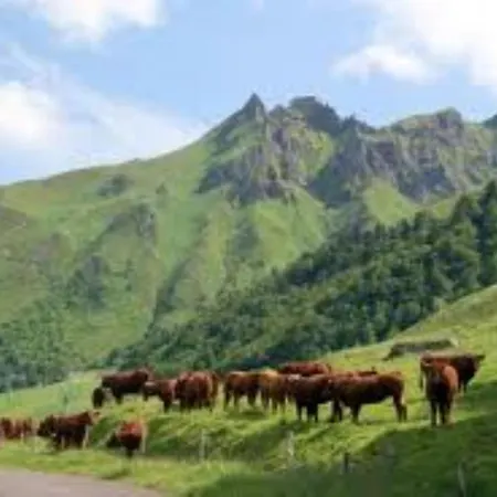 Rose, 4 Pers. Saint Antoine, Orcival, Sancy דירה